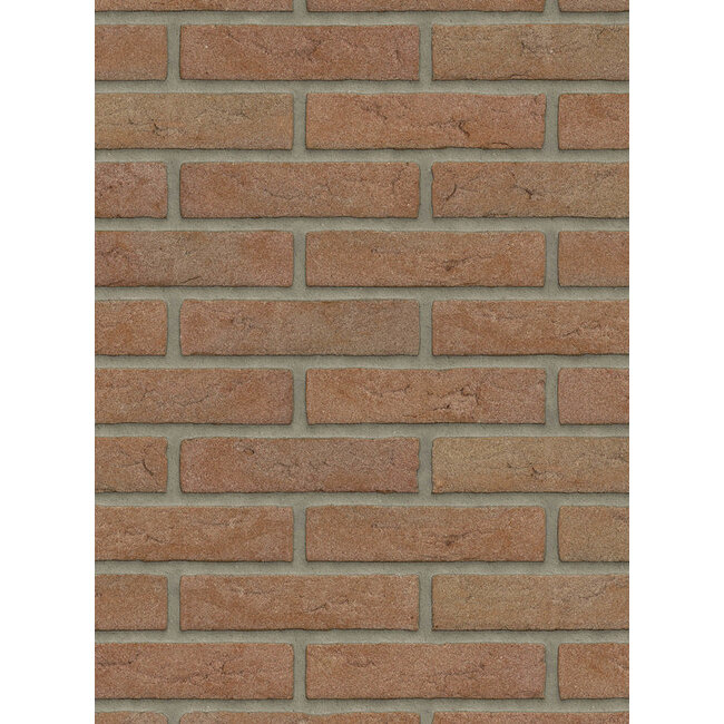 Brons baksteenstrip HV/WF 21x5 cm  - per m²