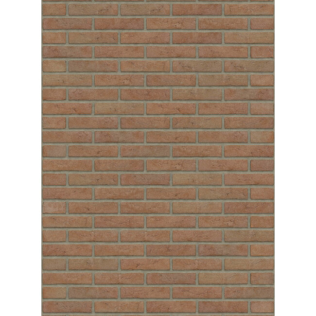 Brons baksteenstrip HV/WF 21x5 cm  - per m²