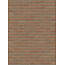 Brons baksteenstrip HV/WF 21x5 cm  - per m²