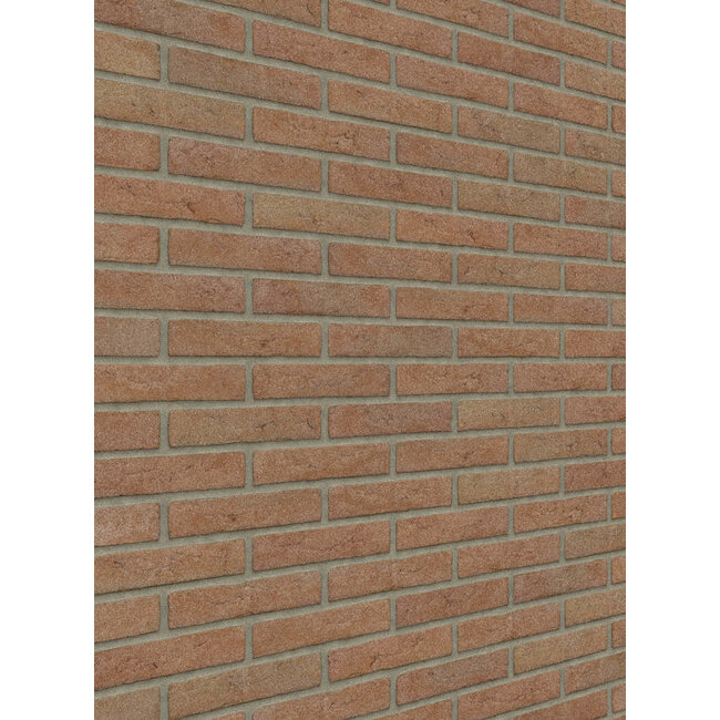 Brons baksteenstrip HV/WF 21x5 cm  - per m²