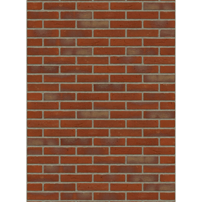 Engels bont baksteenstrip HV/WF 21x5 cm - per m²