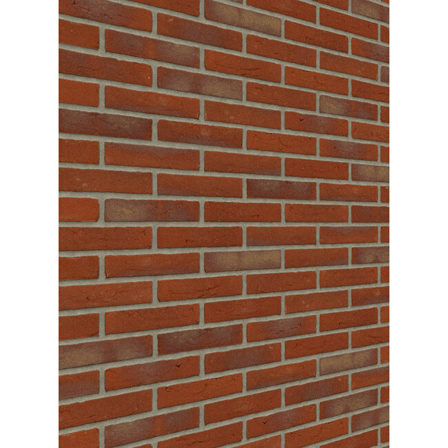 Engels bont baksteenstrip HV/WF 21x5 cm - per m²