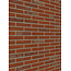 Engels bont baksteenstrip HV/WF 21x5 cm - per m²