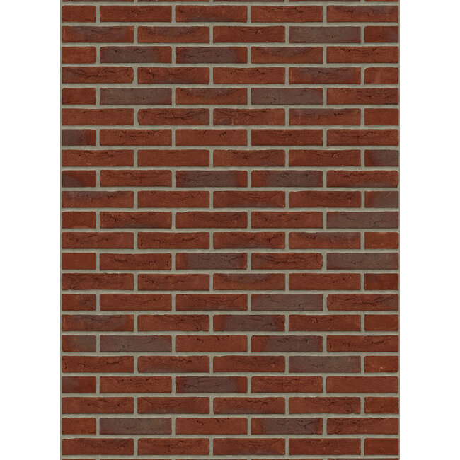 Bommels bont baksteenstrip WF 21x5 cm  - per m²