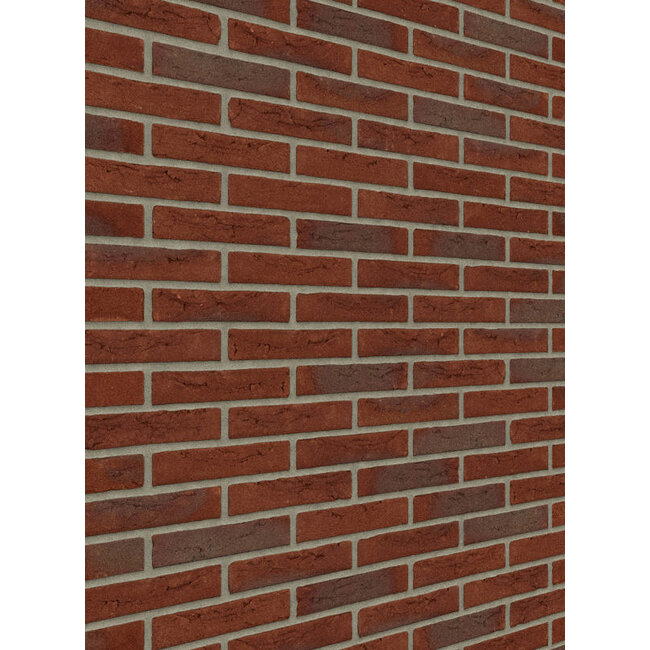 Bommels bont baksteenstrip WF 21x5 cm  - per m²