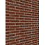 Bommels bont baksteenstrip WF 21x5 cm  - per m²