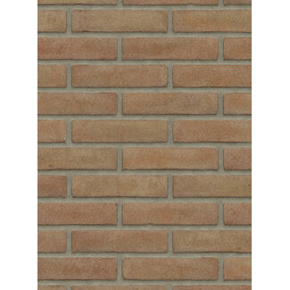 Brons baksteenstrip VB/WF 21x5 cm