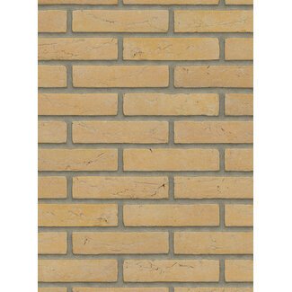 Geel baksteenstrip HV/WF 21x5 cm