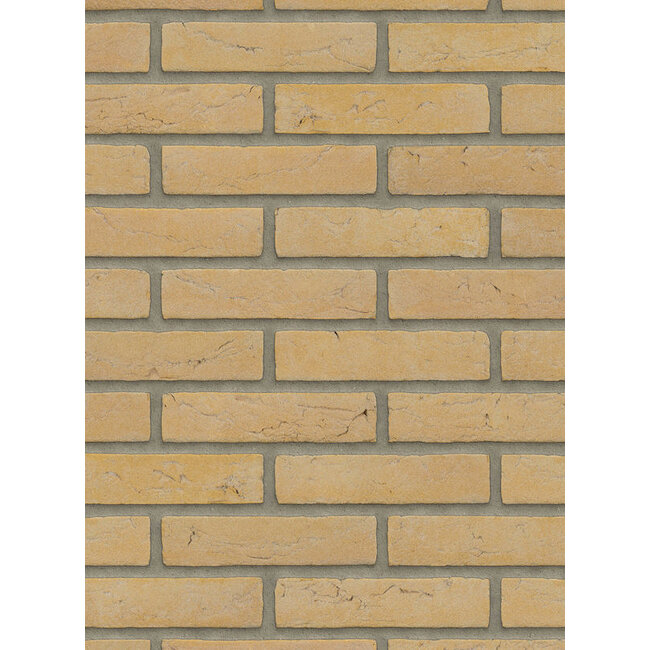 Geel baksteenstrip HV/WF 21x5 cm - per m²