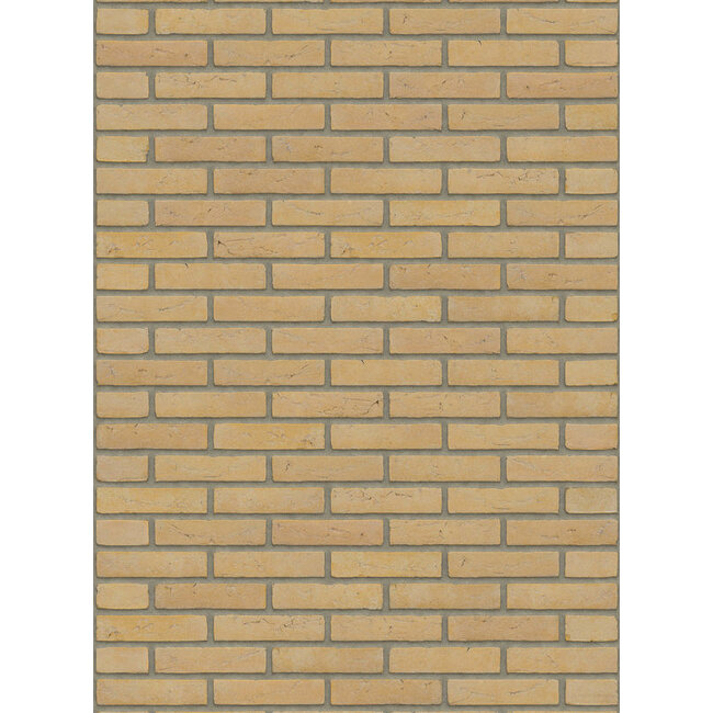 Geel baksteenstrip HV/WF 21x5 cm - per m²
