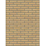 Geel baksteenstrip HV/WF 21x5 cm - per m²