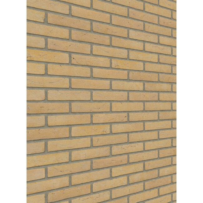Geel baksteenstrip HV/WF 21x5 cm - per m²