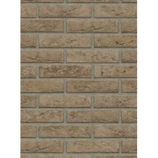 Grijs baksteenstrip HV/WF 21x5 cm Grijs baksteenstrip HV/WF 21x5 cm