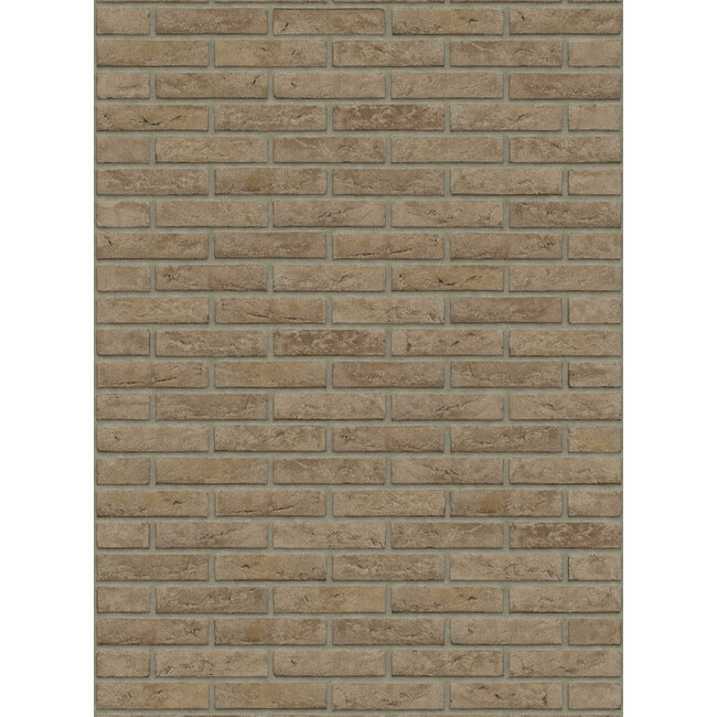 Grijs baksteenstrip HV/WF 21x5 cm - per m²