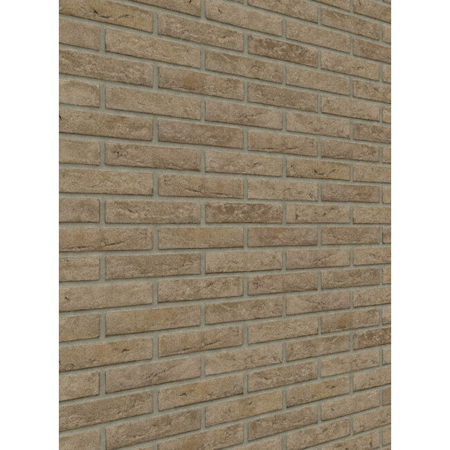 Grijs baksteenstrip HV/WF 21x5 cm - per m²