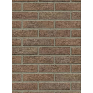 Maasbruin baksteenstrip HV/WF 21x5 cm