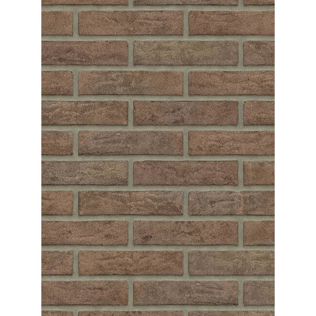 Maasbruin baksteenstrip HV/WF 21x5 cm - per m²