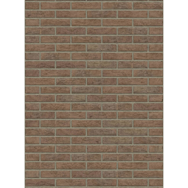 Maasbruin baksteenstrip HV/WF 21x5 cm - per m²