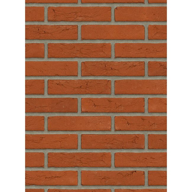 Oranje baksteenstrip HV/WF 21x5 cm - per m²