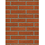 Oranje baksteenstrip HV/WF 21x5 cm - per m²