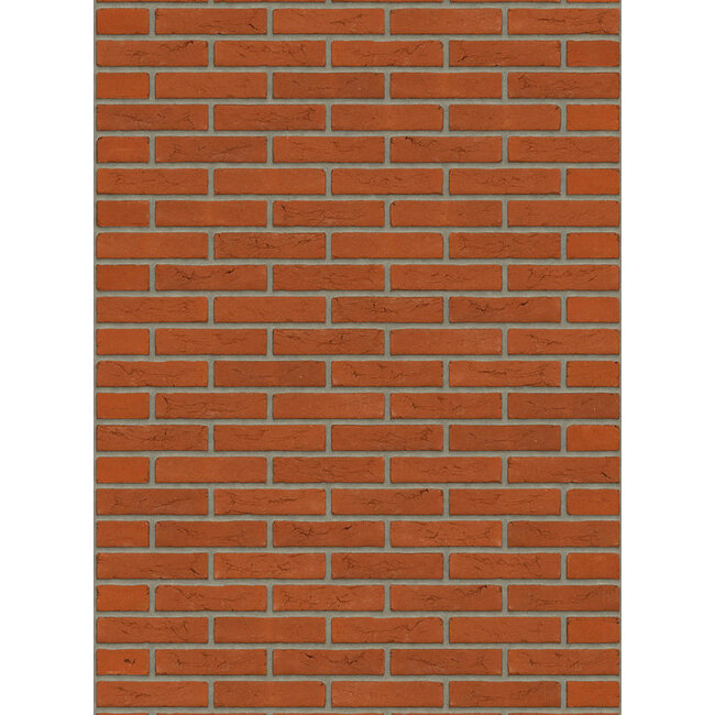 Oranje baksteenstrip HV/WF 21x5 cm - per m²