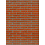 Oranje baksteenstrip HV/WF 21x5 cm - per m²