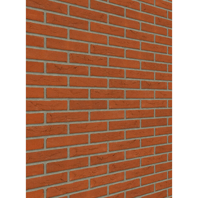 Oranje baksteenstrip HV/WF 21x5 cm - per m²