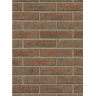 Maasbruin baksteenstrip VB/WF 21x5 cm Maasbruin baksteenstrip VB/WF 21x5 cm