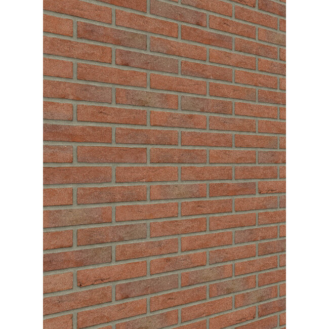 Roodpaars baksteenstrip HV/WF 21x5 cm  - per m²