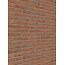 Roodpaars baksteenstrip HV/WF 21x5 cm  - per m²