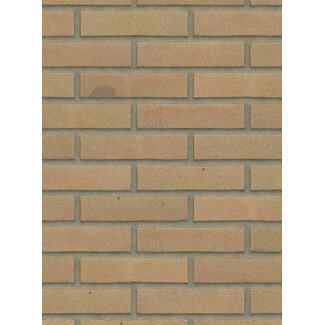 Naturel baksteenstrip VB/WF 21x5 cm