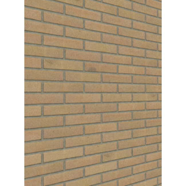 Naturel baksteenstrip VB/WF 21x5 cm