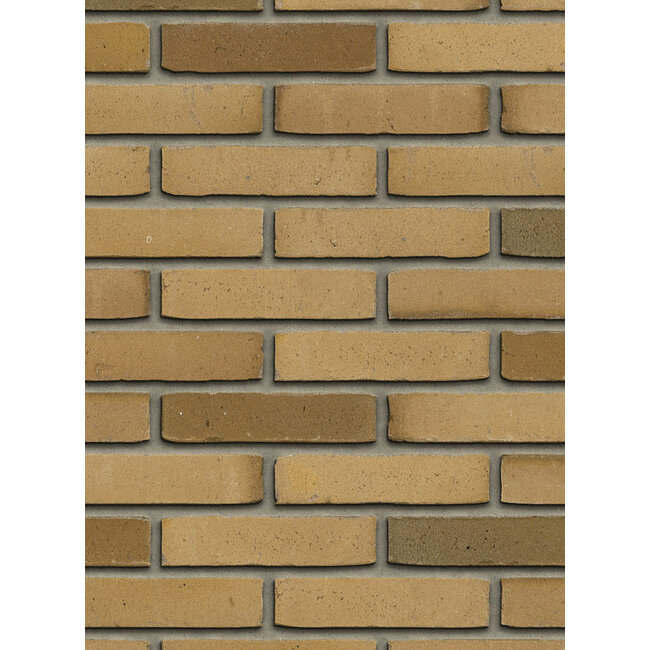 Aqua Beige Redux baksteenstrip AQUA/WF 21x5 cm - per m²