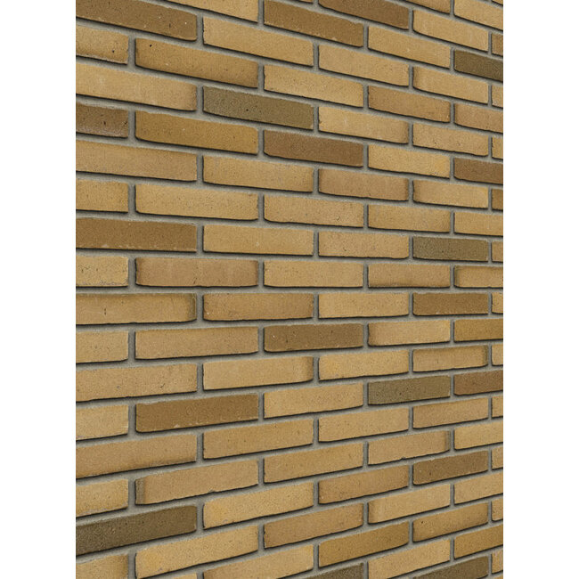 Aqua Beige Redux baksteenstrip AQUA/WF 21x5 cm - per m²