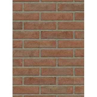 Roodpaars baksteenstrip VB/WF 21x5 cm