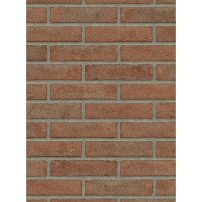 Roodpaars baksteenstrip VB/WF 21x5 cm