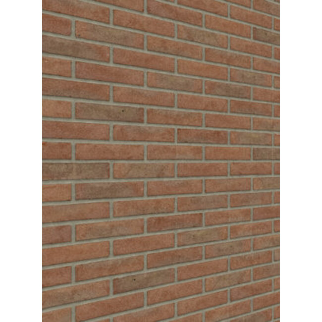 Roodpaars baksteenstrip VB/WF 21x5 cm