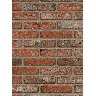 Boise baksteenstrip HV/WF 21x5 cm Boise baksteenstrip HV/WF 21x5 cm