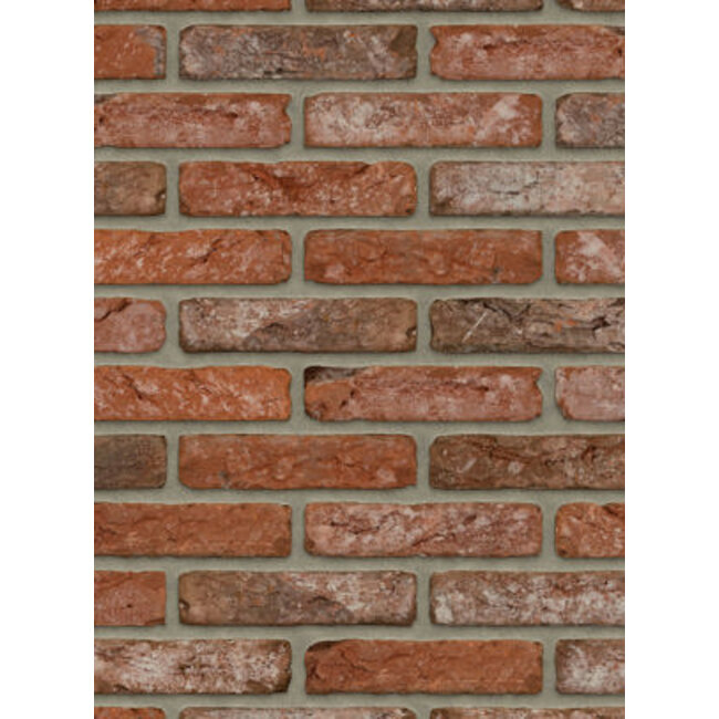 Boise baksteenstrip HV/WF 21x5 cm