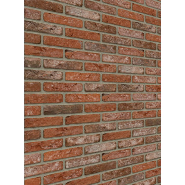 Boise baksteenstrip HV/WF 21x5 cm