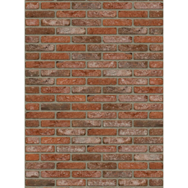 Boise baksteenstrip HV/WF 21x5 cm