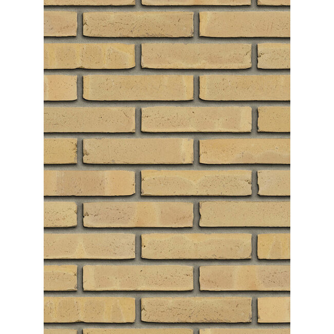 Geel baksteenstrip AQUA/WF 21x5 cm - per m²