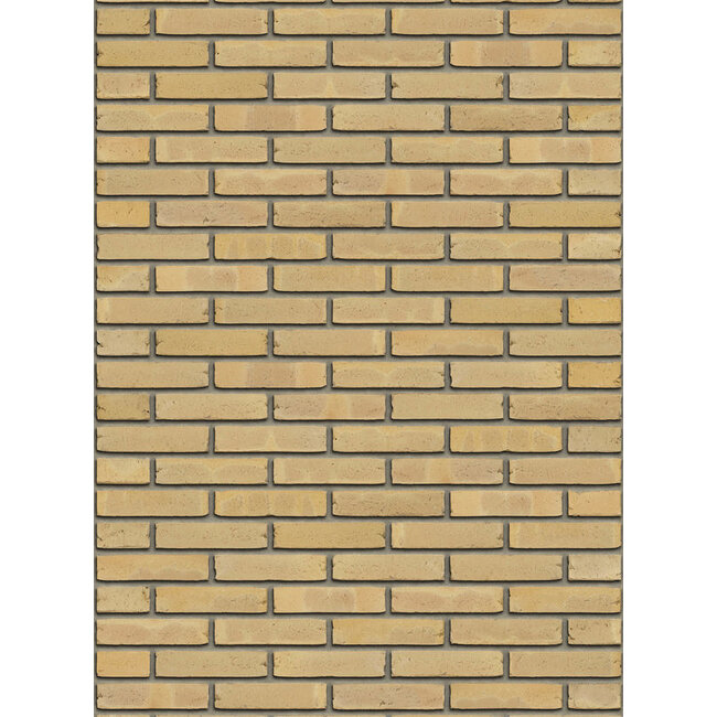 Geel baksteenstrip AQUA/WF 21x5 cm - per m²