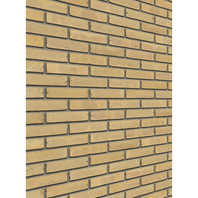 Geel baksteenstrip AQUA/WF 21x5 cm - per m²