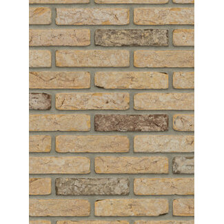 Boulder baksteenstrip HV/WF 21x5 cm