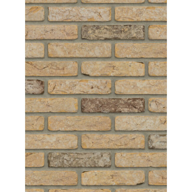 Boulder baksteenstrip HV/WF 21x5 cm