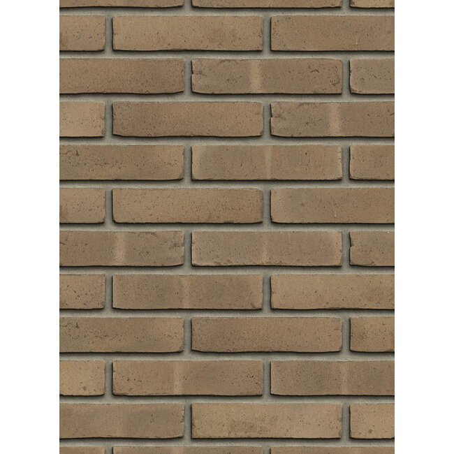 Grijs baksteenstrip AQUA/WF 21x5 cm - per m²