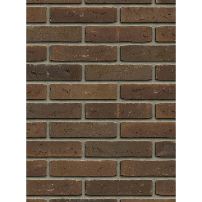 Bruin baksteenstrip AQUA/WF 21x5 cm - per m²