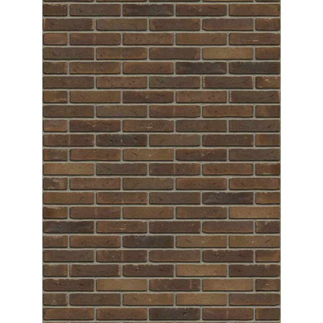 Bruin baksteenstrip AQUA/WF 21x5 cm - per m²