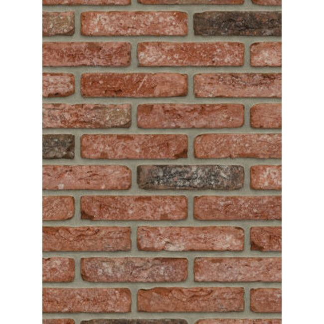 Cheyenne baksteenstrip HV/WF 21x5 cm